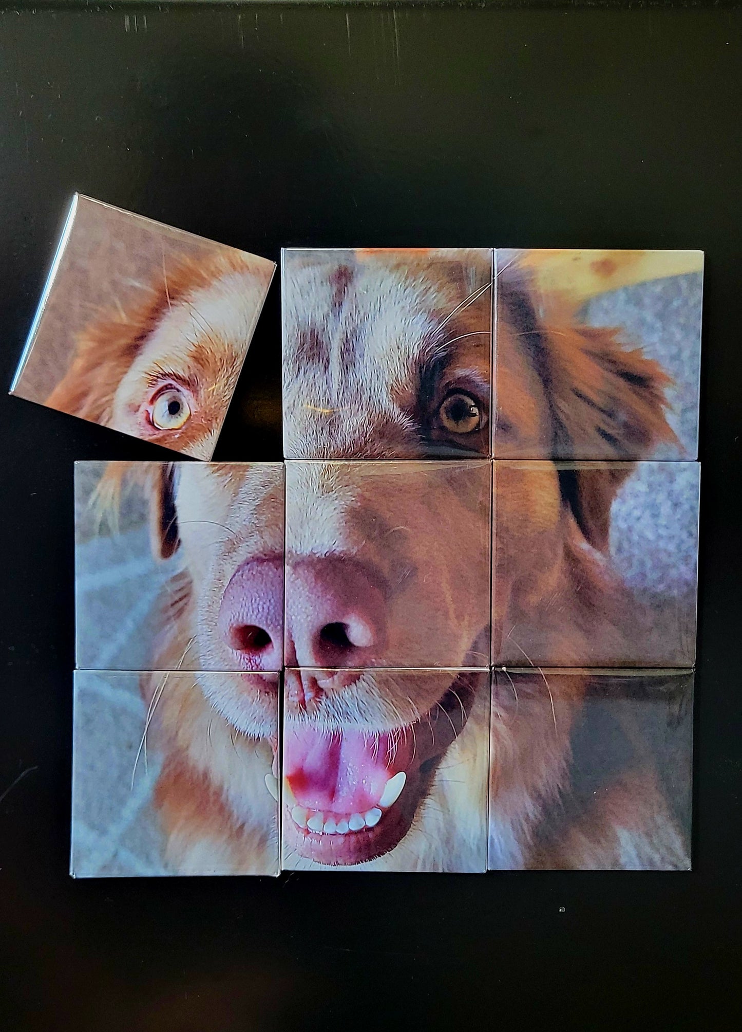 Puzzle Photo Magnets