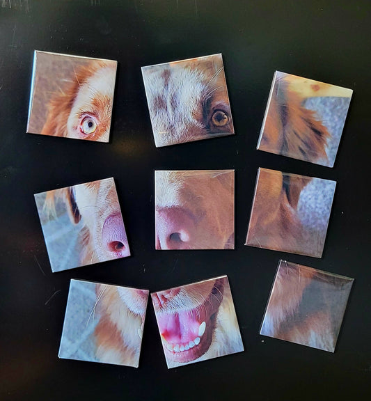 Puzzle Photo Magnets