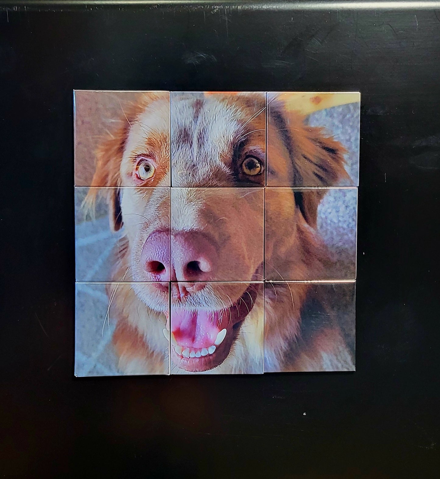 Puzzle Photo Magnets